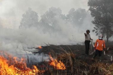 bbpbd-damkar-riau-gesa-kabupatenkota-yang-dilanda-karhutla-untuk-segera-tetapkan-status-siagab