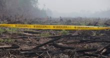 50-hektar-kebun-sagu-milik-warga-kepulauan-meranti-terbakar