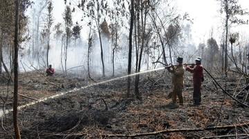 BNPB Masih Punya Tunggakan Pembayaran Bencana Karhutla Riau Rp110 Miliar