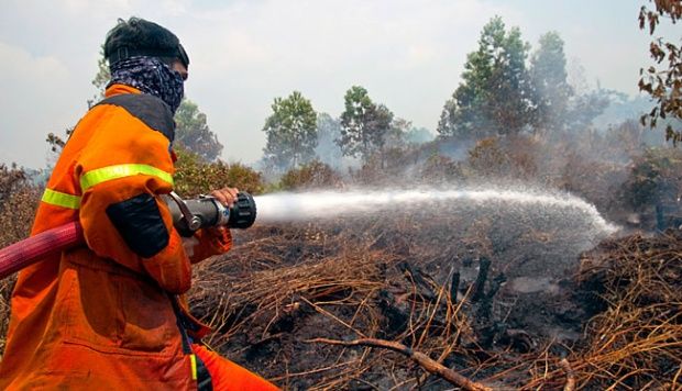 Polda Riau Usut Dugaan Penyelewengan Anggaran Kebakaran Lahan di Kampar