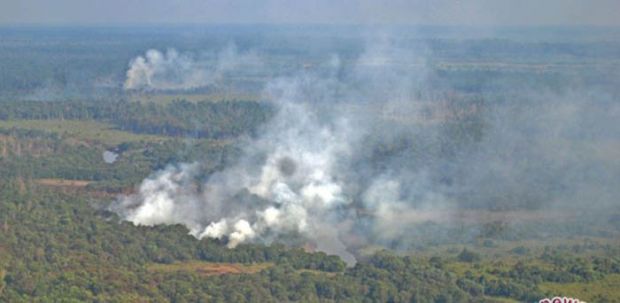 Hampir Semua Karhutla di Riau Sengaja Dibakar untuk Bikin Kebun