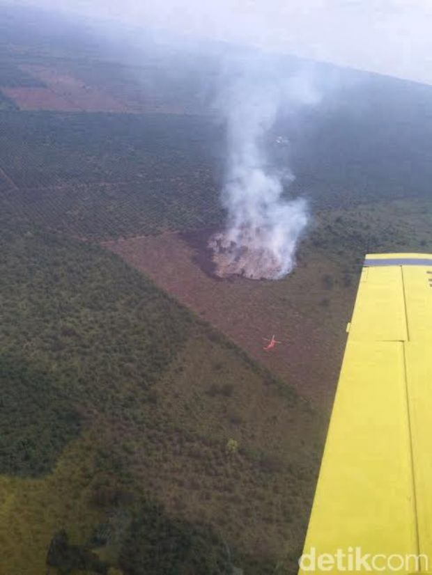 Kebakaran Lahan, 1 Ton Garam Disebar di Riau untuk Membuat Hujan Buatan