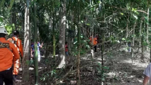 Warga Rokan Hulu Hilang saat Masuk Hutan untuk Berziarah di Talangmaua Sumbar