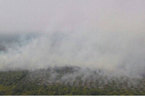 Kebakaran Lahan di Rohil Terus Meluas, Polisi Kejar Pemilik 25 Hektar Kebun Sawit Bernama ”Teguh Santoso”