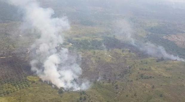 Luas Lahan Terbakar di Riau Bertambah Menjadi 5.156 Hektar