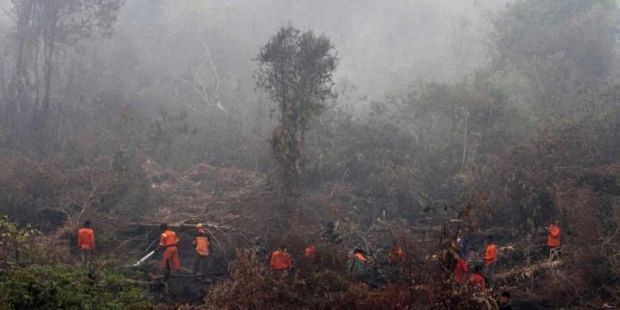 Tabir Penyebab Asap Terkuak, Kebakaran Terjadi di Lahan Milik 24 Perusahaan Sawit dan Akasia