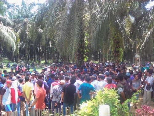 Setelah Mogok Kerja, PT Duta Palma Nusantara Akhirnya Penuhi Tuntutan Karyawan