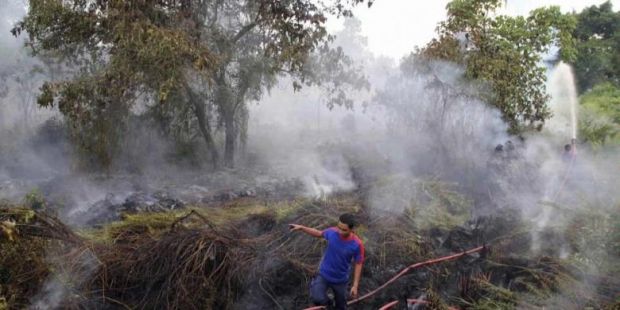 Ada 63 Titik Panas Terdeteksi di Sumatera Hari Ini
