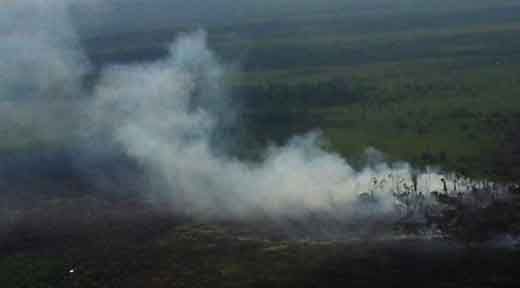 Perkebunan Sawit di Kecamatan Kandis Siak Terbakar, di Kabupaten Kepulauan Meranti Lahan Gambut Kepulkan Asap Pekat