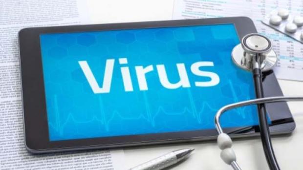 Corona belum Sirna, Virus Misterius <i>West Nile</i> Muncul di Belanda