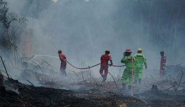 bwalhi-dan-greenpeace-ungkap-52-perusahaan-terafiliasi-malaysiasingapura-diduga-terlibat-karhutlab