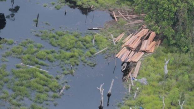 Kapolda Riau Temukan Aktivitas <i>Illegal Logging</i> saat Patroli Udara di Giam Siakkecil