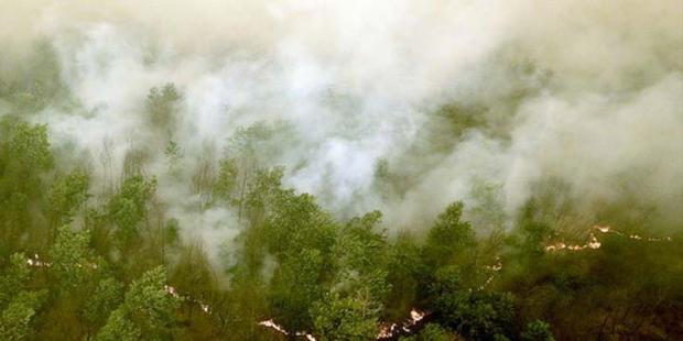 Kebakaran Hutan Meluas, Kualitas Udara di Kota Dumai Berbahaya