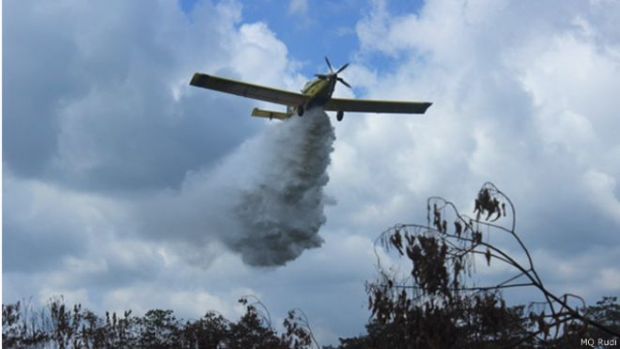 Kebakaran Lahap Puluhan Hektar Lahan Gambut di Pelalawan