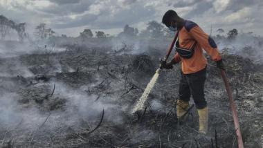 bseluruh-pemda-di-12-kabupatenkota-di-riau-tetapkan-status-siaga-darurat-kebakaran-hutanb