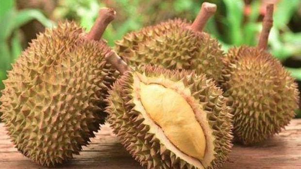 Oleh-oleh Durian yang Dibawa ke Rumah Nurdin Basirun Jadi Petaka, Kadis LKH Kepri Ikut Diseret KPK