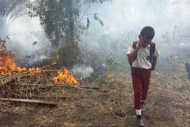Seorang Siswa SD Pekanbaru Bantu Padamkan Api Kebakaran Lahan di Dekat Jalan yang Dilintasinya Setiap Hari