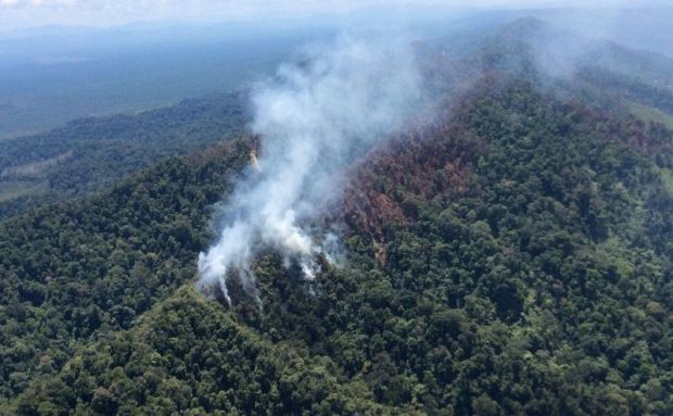Sempat Kejar-kejaran, Satgas Tangkap Pria yang Dicurigai sebagai Pembakar Hutan Lindung Bukitsuligi di Perbatasan Rohul-Kampar