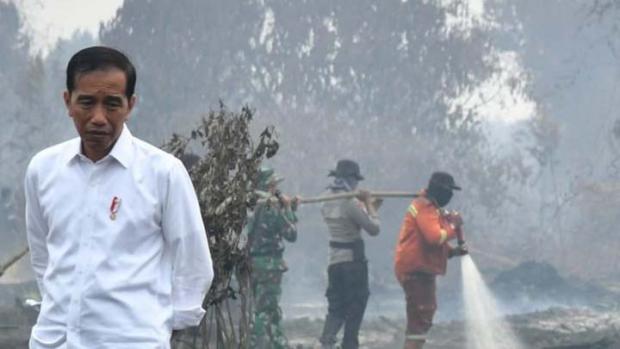 Lihat Lokasi Kebakaran Hutan dan Lahan di Pelalawan, Jokowi: Sepertinya Disengaja dan Terorganisasi