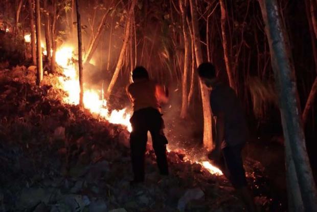 Lahan di Rokan Hilir Diduga Sengaja Dibakar untuk Pembukaan Perkebunan Sawit