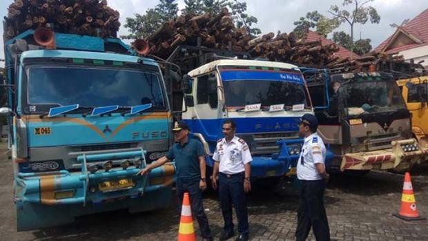 Inilah Truk-truk Penghancur Jalan di Riau lantaran Ukuran dan Muatan Tak Sesuai Aturan