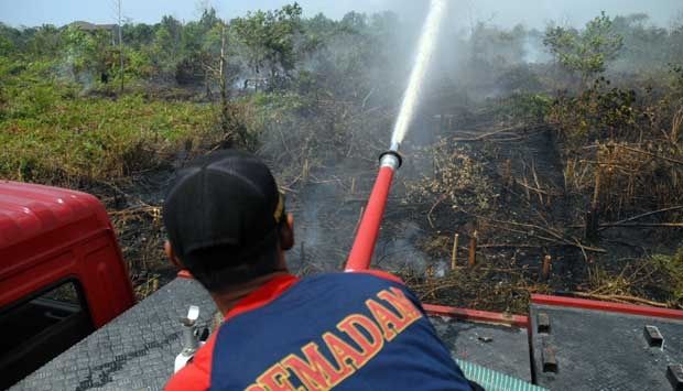 19 Titik Panas Terpantau di Wilayah Sumatera, Riau Paling Banyak ”Nyumbang”
