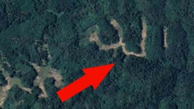 Masya Allah, Ada Penampakan Mirip Lafaz Allah di Hutan Belantara Sawahlunto Sumbar