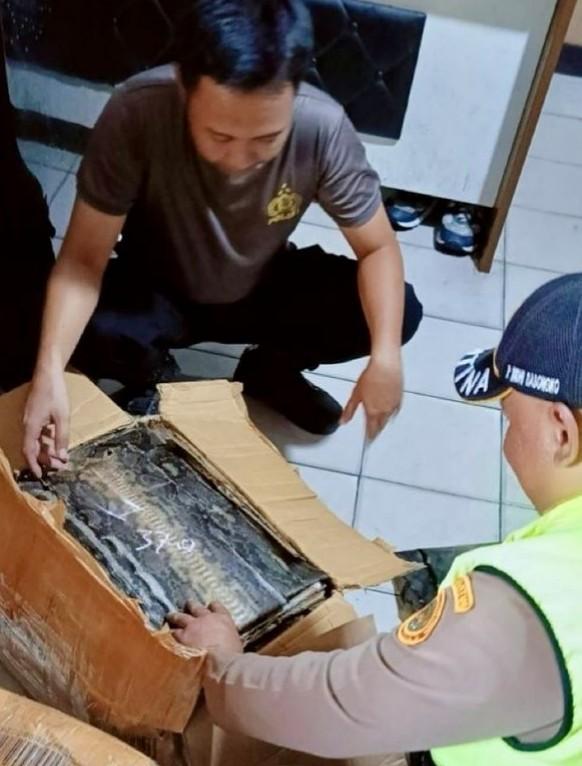 <b>Berasal dari Riau, Balai Karantina Lampung Amankan Ratusan Lembar Kulit Ular dan Biawak</b>