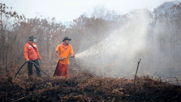 Di Depan Kepala BNPB, Riau Sesumbar Paling Siap Hadapi Bencana Karhutla