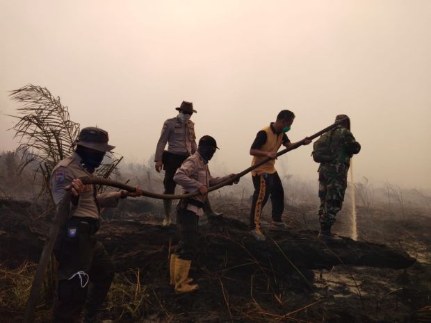 Karhutla di Awal Tahun, 15 Hektar Lahan di Siak Terbakar