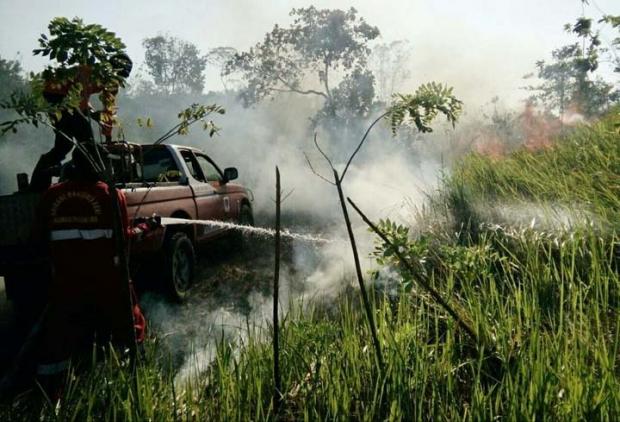 Pemprov Riau Tetapkan Status Siaga Darurat Karhutla hingga Mei 2018