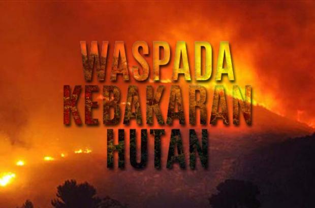 Status Siaga Darurat Karhutla di Riau Ditetapkan Hari Ini, Dua Kabupaten Sudah Duluan