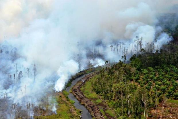 Waspada Kebakaran Lahan, Puluhan Titik Panas Dideteksi di Arel Sejumlah Perusahaan di Riau