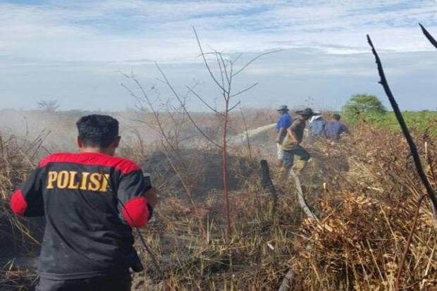 Kebakaran Masih Terjadi, Sudah 706 Hektar Hutan dan Lahan Riau Musnah