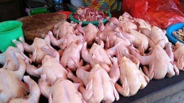 Banyak Warga Memiliki Daging Kurban, Harga Ayam Potong di Pekanbaru Turun Cukup Drastis
