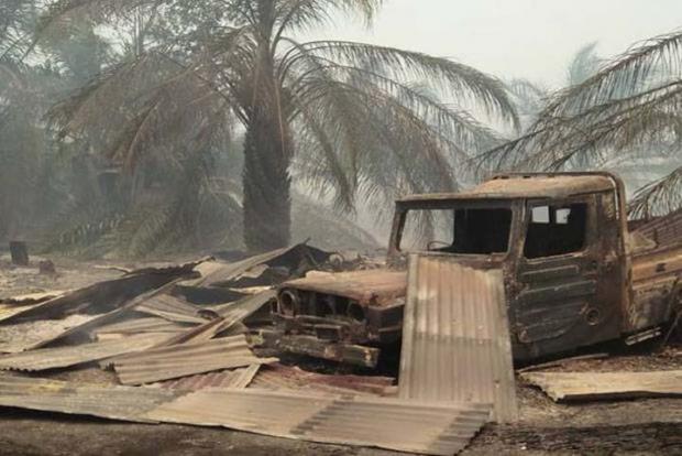 Akibat Kebakaran Hutan, Harta Satu Keluarga di Desa Tanjungleban Rokan Hilir Kini Hanya Tinggal Baju di Badan