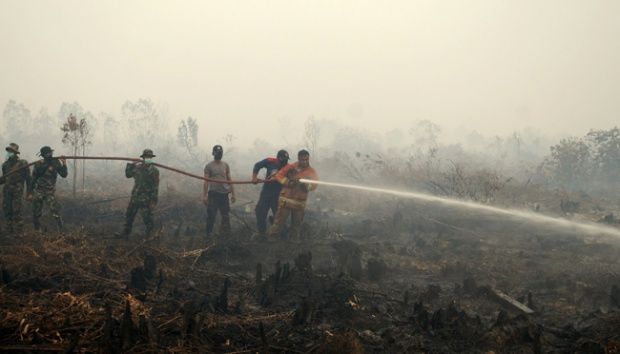 Sudah Lama Ingatkan Pemerintah Adanya Kebakaran Hutan, Walhi: Jangan-jangan Ini Proyek Pemadaman