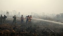 sudah-lama-ingatkan-pemerintah-adanya-kebakaran-hutan-walhi-janganjangan-ini-proyek-pemadaman