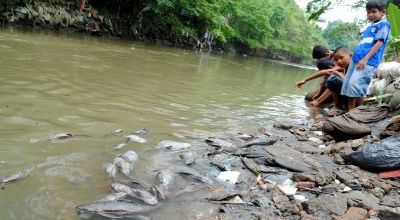 Warga Tuding Limbah PKS PT Tri Bakti Sarimas Penyebab Ikan Mati di Sungai Batang Pantai Kuansing