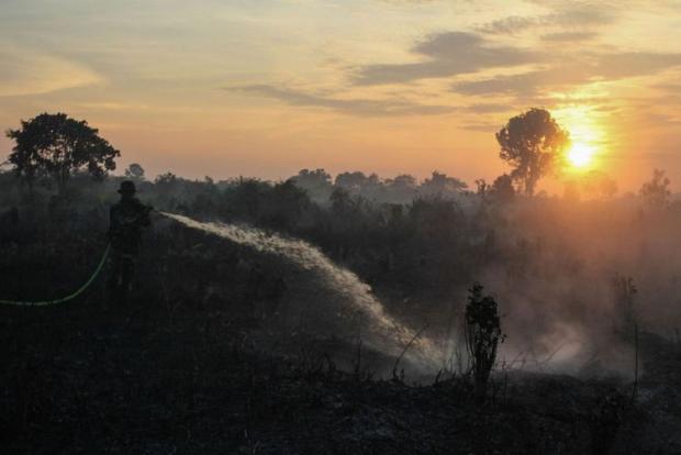 Sejak Januari, Sedikitnya 1.052 Hektar Lahan dan Hutan di Riau Ludes Terbakar