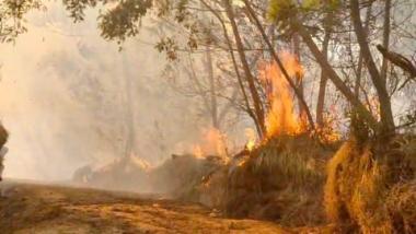 b14-perusahaan-diduga-pembakar-hutan-di-sumatra-disegel-klh-1-beroperasi-di-riaub
