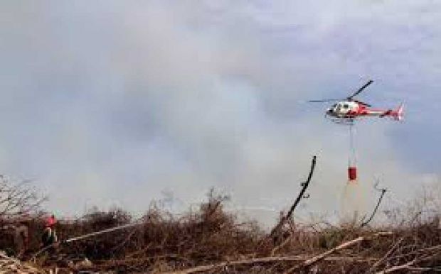 Kebakaran Masih Sulit Dipadamkan, Titik Api di Riau Tambah Banyak