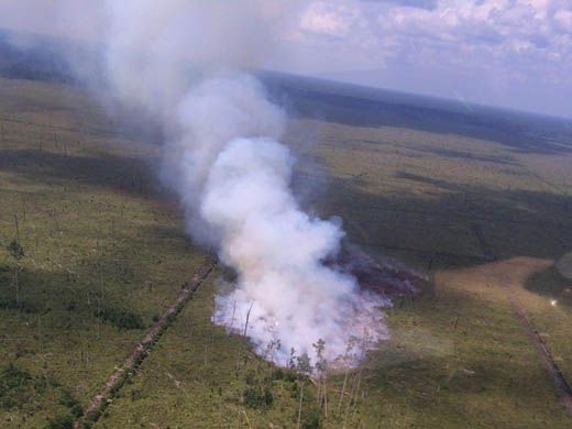 Koalisi LSM Lingkungan Laporkan 49 Perusahaan yang Diduga Terlibat Pembakaran Hutan ke Polda Riau