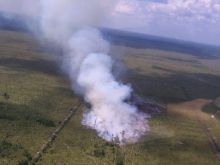 koalisi-lsm-lingkungan-laporkan-49-perusahaan-yang-diduga-terlibat-pembakaran-hutan-ke-polda-riau