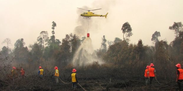 Kasus Kebakaran Hutan di Riau Masuki Babak Baru, Kejati Limpahkan Berkas Manajer PT LIH