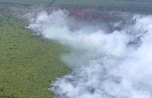 Patroli Udara TNI AU Temukan Kebakaran Lahan di Bengkalis