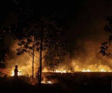 64-hektar-lahan-riau-terbakar-sepanjang-januarifebruari-2017