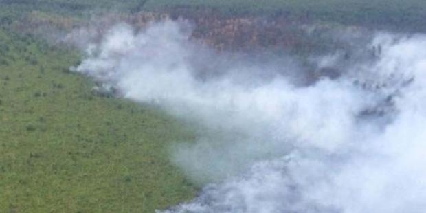 Kebakaran Hutan dan Lahan di Riau sampai Hari Ini Meluas hingga 633 Hektar
