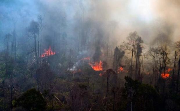 Sudah 800 Hektar Lebih Lahan Riau Dilahap Api