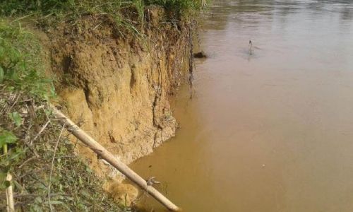 Warga Desa Rumbiojaya Kampar ”Deg-degan”, Setiap Banjir Datang Puluhan Meter Tanah Tepi Sungai Lenyap, kalau Sejak 1980 Sudah Setengah Kilometer